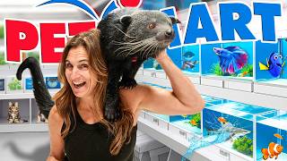 Taking My Binturong (Bearcat) To Petsmart For The First Time!