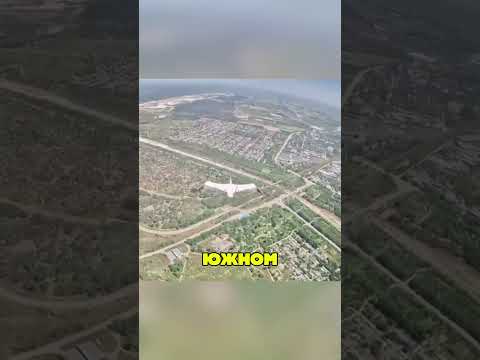 Российский FPV попытался атаковать аиста