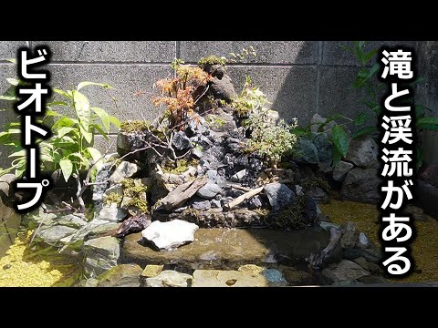 滝と渓流があるビオトープ完成！庭の片隅に小動物の楽園！