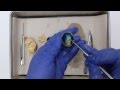 Sheep Eyeball Dissection Concepts