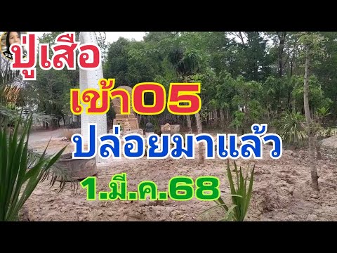 ปู่เสือเข้า05ปล่อยต่องวดแล้ว1.มี.ค.68