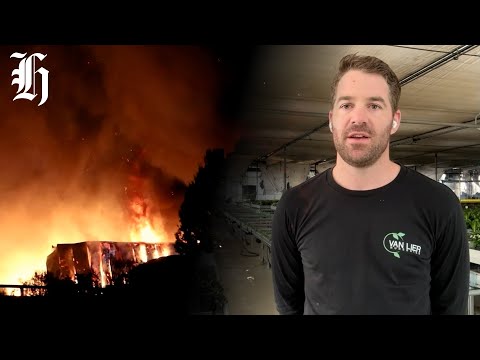 YouTube video thumbnail: Fire Devastates West Auckland Rose Nursery