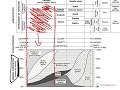 Mineral Composition in Rocks
