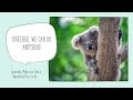 Classroom Behavior and Expectations