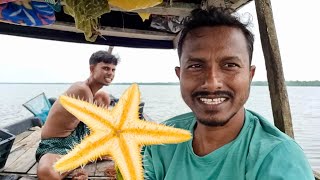 তারা মাছ কে কে খেয়েছেন । Sundarban fishing🎣। fishing video @Tradifoodsundarban