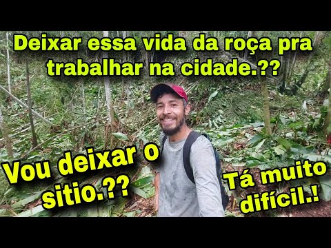 RECEBI UMA PROPOSTA DE EMPREGO NA CIDADE .!! VOU DEIXAR ESSA VIDA DE ROÇA.??