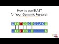 BLAST Query and Analysis Concepts