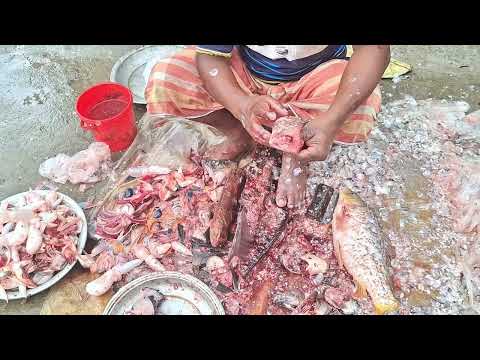 Real Village Life | Deshi Fish Cutting at Local Bazaar | Dh Bangla Media