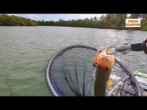 ESSA COR É INFALIVEL. Pescaria de robalo