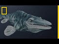 Mosasaurs: The Apex Predators of the Cretaceous Oceans