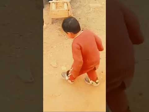 Mọi người nên cẩn thận với động vật Dê, Cừu