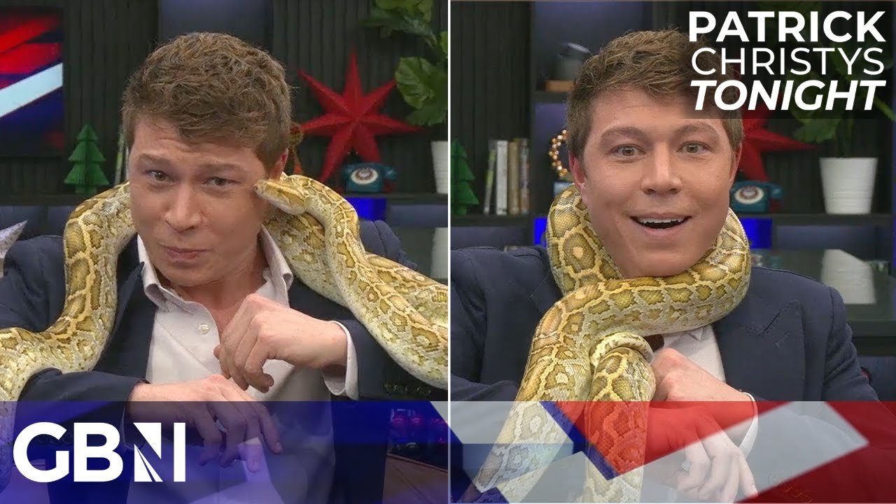 Patrick celebrates Farage’s performance Down Under & causes chaos with Honey the Burmese Python