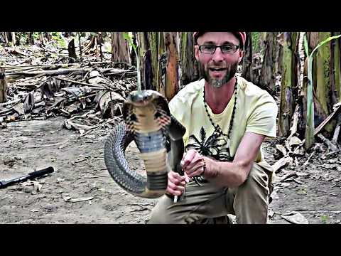 Deadliest Cobra: Indian Spitting Cobra Encounter