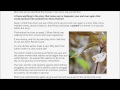 Understanding Symbolism in Literature