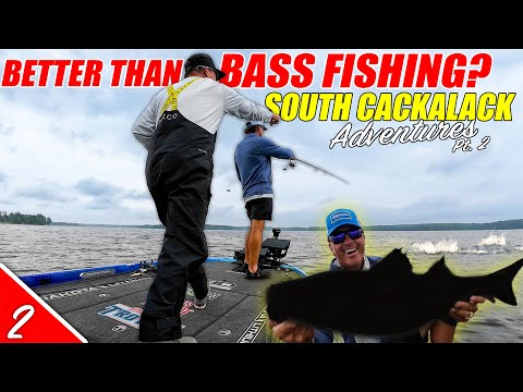 Better than BASS FISHING? Ft: Hilary & Billy Gotta Bass - SC Adventures Part 2