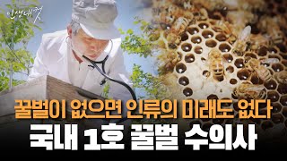 인류의 미래를 위해 꿀벌을 치료하는 정년기 수의사 | 인생내컷 | 2024년 06월 13일 다시보기