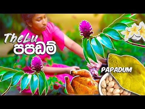 Made An Amazing Dinner with Canereed Leaves and Jackfruit Seed with Chicken | Village Cooking Girl