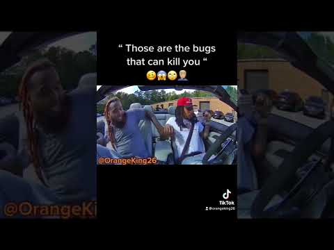 Sooo Anybody Else Ever Experience This ๐ณ๐ณ๐คฃ #Bugs #viral #OKQ