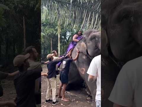 🐘 When nature reminds you who’s really in charge… #elephant #wildlife #aivideo