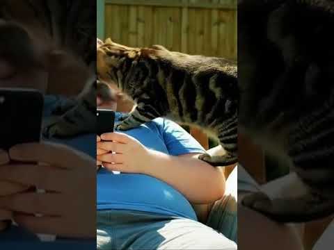 Ohno #funny #cuteanimal #viralvideo #foryou #🤣😂😅
