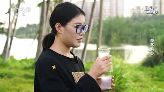 《透视新科技》 20250809 椰林飘香 | CCTV科教