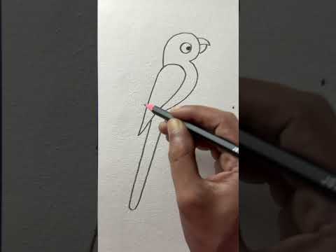 Simple and easy parrot drawing with number 2