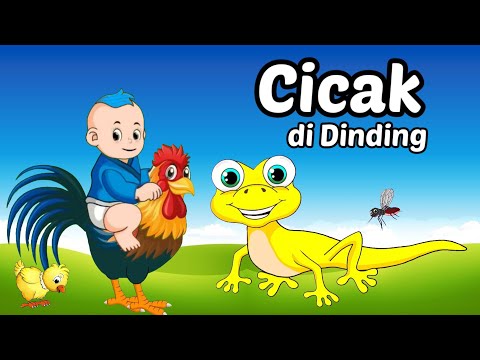 Lagu Anak - Cicak Cicak Di Dinding - Kukuruyuk Ayam Berkokok - Animasi Ayam - Lagu Anak Indonesia