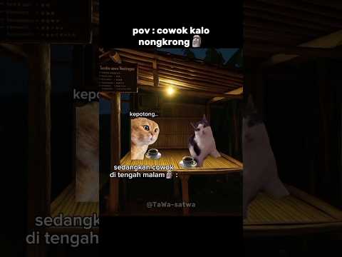 cowok ngobrol tentang bisnis🗿💅🏿#kucingmeme #campuran #catmemes #funny #lawak #animasi #catlovers