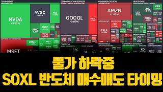물가 하락중 SOXL 반도체 매수매도 타이밍 (엔비디아 컴퓨트 달러)