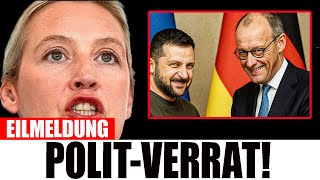 MERZ VERRÄT UNS! 80% Deutsche Lehnen Seine Ukraine Politik Vehement Ab!