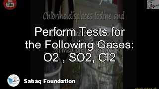Perform Tests for the Following Gases: O2 , SO2, Cl2