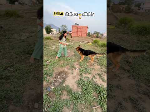 500 rs Haar Gai ๐๐ฅ #shorts #couple #pahadi #pet