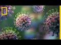 Understanding the Flu Virus