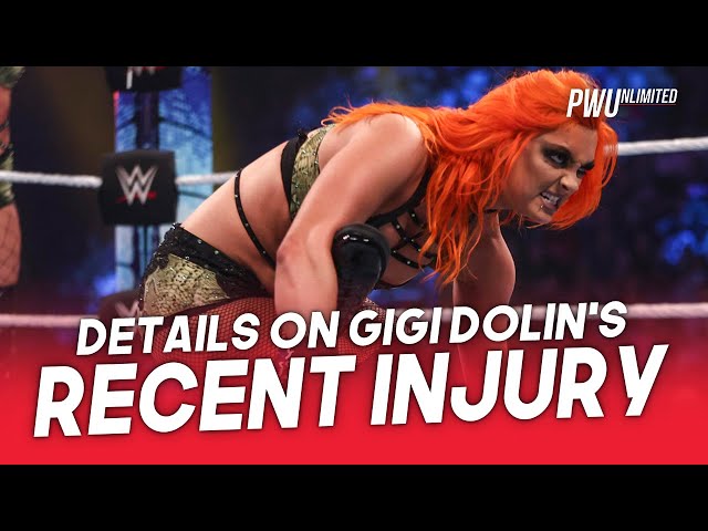 Details On Recent Injury Suffered By Gigi Dolin