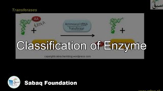 Classification of Enzyme