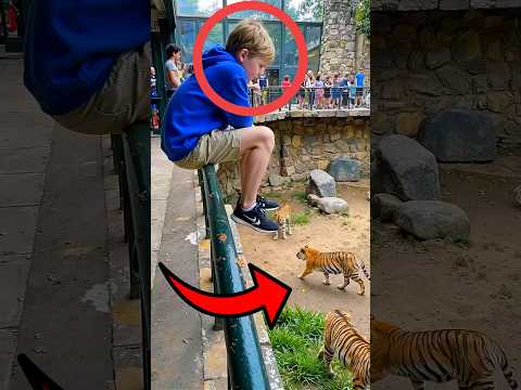 虎の間に落ちた子供 🐯👦