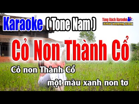 Cỏ Non Thành Cổ | Karaoke Beat Chuẩn Tông Nam – Nhạc Sống Tùng Bách