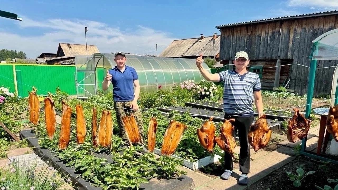 Домашнее копчение дикой утки и щуки в деревне. Первый выезд на рыбалку.