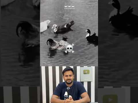 সঙ্গ দোষে লোহা ভাসে #viralvideo  #hen #duck  #frends