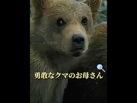 母親になると、もっと勇敢になります！