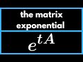 Matrix Exponential Concepts and Applications