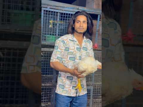 ￼Chicken wala 🤔🙏#short#viralvideo#motivation
