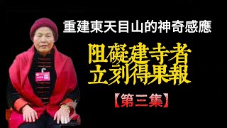 阻礙建寺者惡報立刻現前，韋陀菩薩護法不可思議！（第三集）重建東天目山神奇感應故事 #齊素萍居士講述