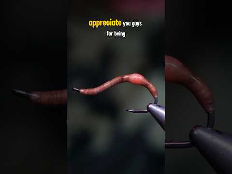 Earthworm Fly!