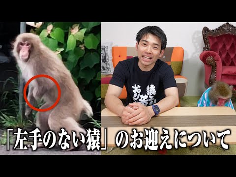 市街地に出没する「左手のない猿」を救いたい