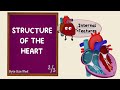 Heart Anatomy and Function Assessment