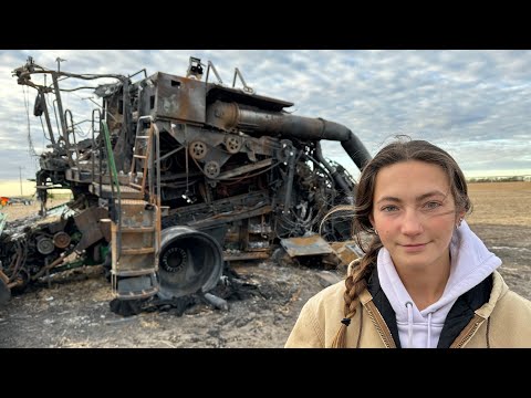 Field Fire In Standing Corn
