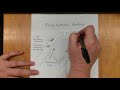 Frog Anatomy and Physiology Concepts