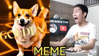 HUNTR/X GOLDEN DOGS MEME.
