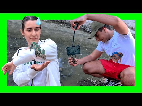 🔴 BUSCANDO BICHOS con MI NOVIA! [parte 2]